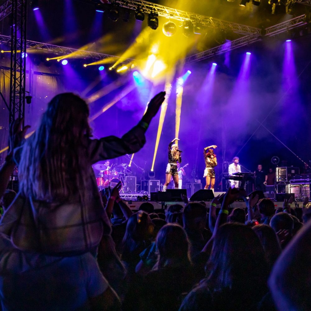 Festival entertainment